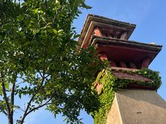 -原山国家森林公园