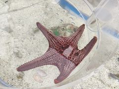 -上海海洋水族馆
