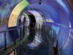 -房山世界地质公园博物馆