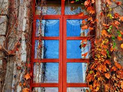 -半岛1919创意园区