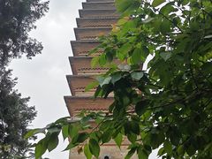 -洛阳白马寺
