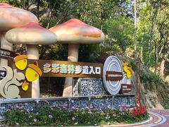 -广州市流溪河国家森林公园