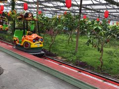 -南宫五洲植物乐园