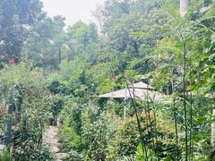 -谷咖啡·鲜花绿植花园餐厅