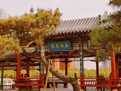 -迎泽公园