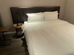 -汉庭(合肥火车南站北广场店)