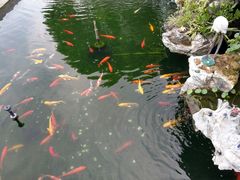 -洞背山庄(洞背院区式管理小区店)