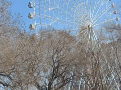 -万泉公园