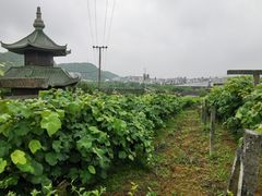 -贵阳蓬莱仙界