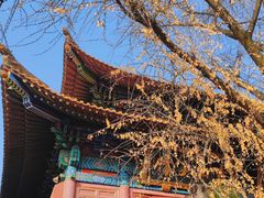 -宝通禅寺