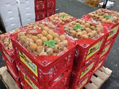 -西郊国际农产品交易中心