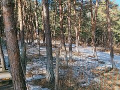 -帽儿山国家森林公园