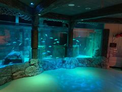 -沈阳海洋探索中心