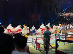 -广州长隆国际大马戏