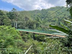 -西双版纳原始森林公园