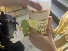 -猫的魔法密林(衣裳街店)