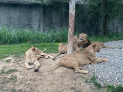 -北京野生动物园