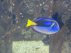 -海合安武汉极地海洋公园