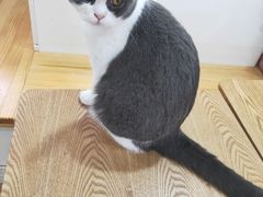 -李小姐の猫咖啡馆(五角场店)