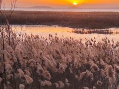 -野鸭湖国家湿地公园