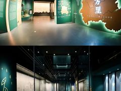 -广西壮族自治区博物馆