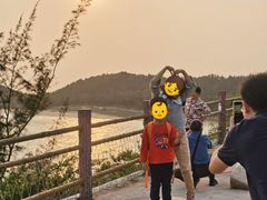 -广东惠东海龟国家级自然保护区