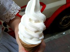 -富豪雪糕车流动点(尖沙咀店)