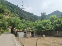-北京山里寒舍度假酒店