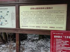 -武陵山森林公园