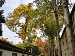 -南京中国近代史遗址博物馆(南京总统府)