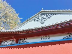 -迪庆藏族自治州博物馆