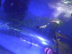 -波塞冬旅游度假区