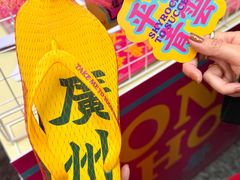 -越秀西湖花市(广州城市广场花卉店)