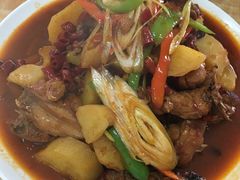 -尕西新疆大盘鸡(回辉村分店)
