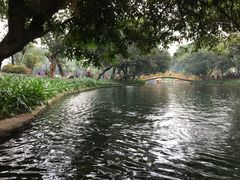 -晓港公园