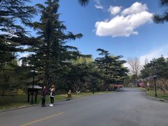 -莲花池公园