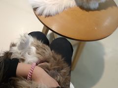 -藏猫猫咖啡主题馆(中央大道店)