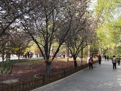 -丰台花园