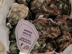 -斯普汇生蚝牛排馆(中骏世界城店)