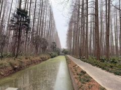 -上海怡沁园度假酒店