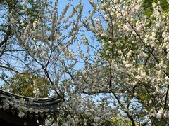 -南山风景名胜区