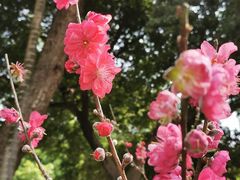 -桃花涧