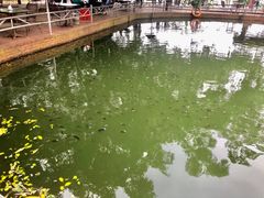 -侯臣咖啡文化村