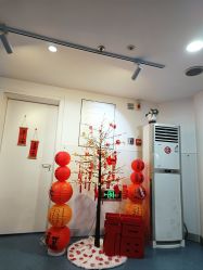 -温州伯思立医院