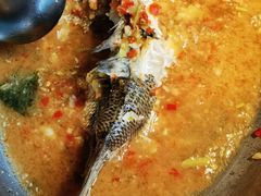 -佬肥猫(七宝宝龙店)