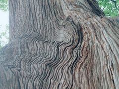 -南岳衡山风景名胜区-南岳大庙