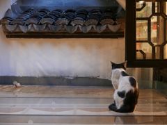 -猫的天空之城概念书店(杭州南宋御街店)