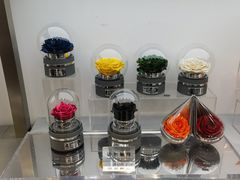 -ROSEONLY诺誓(广州K11店)