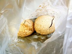 -金盆阿嬷香菇茶叶蛋(玄光店)