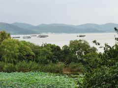 -上海市保健医疗中心